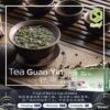 鐵觀音 【拋棄式】SP2S 煙彈 馬來西亞原裝 3入/盒 悅刻一代通用 3%