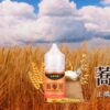 LINE_NOTE_250716_1 【小煙油】LEON系列 30MG
