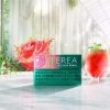 e50aa3ebdae7110d7e85ad1d3baad943 【加熱煙】日版 T牌 TEREA 加熱菸 IQOS ILUMA系列專用 (台灣口味1300清倉價) 整條出售